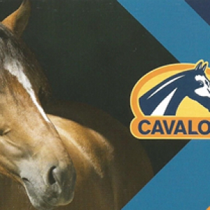 CAVALOR